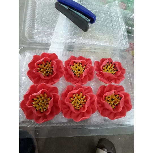 SOCOLA HOA VĂN LÀM SẴN